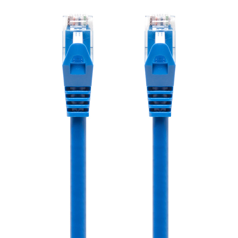 Serveredge 50m Blue CAT6 network Cable