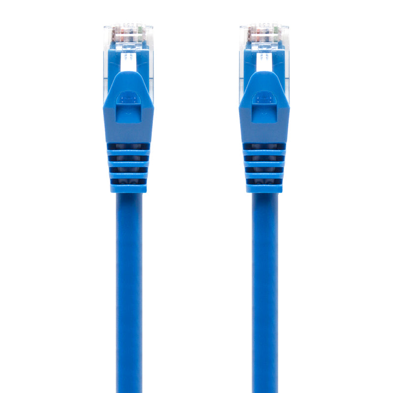 Serveredge 1m Blue CAT6 network Cable